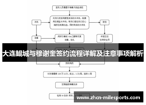 大连鲲城与穆谢奎签约流程详解及注意事项解析