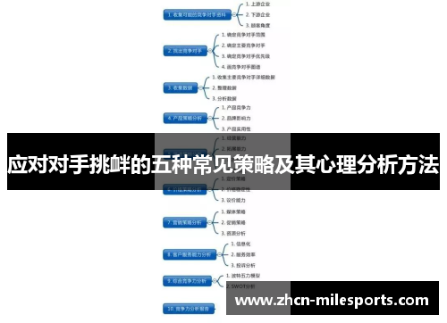 应对对手挑衅的五种常见策略及其心理分析方法