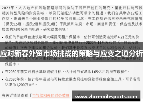 应对新春外贸市场挑战的策略与应变之道分析